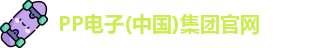 pp电子试玩